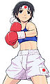Thumbnail for version as of 21:29, 3 January 2012