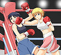 Thumbnail for version as of 04:07, 13 January 2012