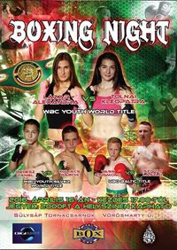 File:Boxing night 2016-04-16.jpg