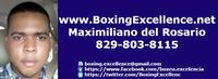 File:Boxingexcellence.jpg