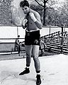 Braddock37a.JPG
