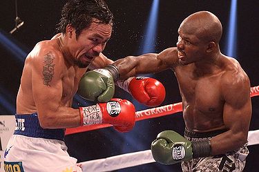 Bradley-vs-Pacquiao-II-3407767.jpg