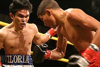 File:Brian Viloria vs. Angel Antonio Priolo.01.jpg