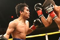 File:Brian Viloria vs. Angel Antonio Priolo.02.jpg