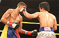 Brian Viloria vs. Angel Antonio Priolo.03.jpg