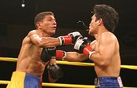 File:Brian Viloria vs. Angel Antonio Priolo.04.jpg