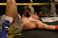 File:Brian Viloria vs. Angel Antonio Priolo.05.jpg