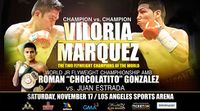 File:Brian Viloria vs. Hernan Marquez (poster).jpg