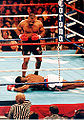 Thumbnail for version as of 03:05, 22 December 2010