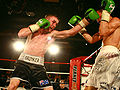 Thumbnail for version as of 14:38, 3 September 2010