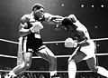 Bruno vs Cummings.jpg