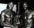 Bruno vs Cummings photo.jpg