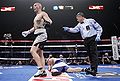 Bryant Zbikowski Boxi Reyn.jpg
