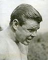 Bulldog.jpg