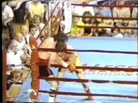 File:Bumpus vs summers.jpg
