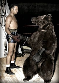 File:Burley & Bear.jpg