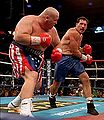 Butterbean-B.jpg