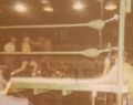 CYO Boxing tournament.jpg
