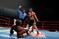 Calzaghe-Lacy 4839.jpg