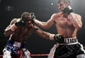 Calzaghe-Lacy 57000025.jpg
