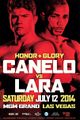Canelo-Lara c04c5e4f7905745e5b3fc124996be85b.jpg