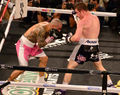 Canelocotto2.jpg