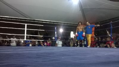 Carlos Henrique Rodrigues da Silva vs. Emerson Santos Carvalho (03).jpg