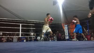 Carlos Henrique Rodrigues da Silva vs. Emerson Santos Carvalho (07).jpg