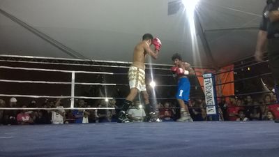 Carlos Henrique Rodrigues da Silva vs. Emerson Santos Carvalho (08).jpg