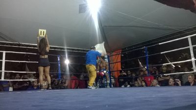 Carlos Henrique Rodrigues da Silva vs. Emerson Santos Carvalho (20).jpg