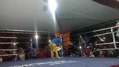 Carlos Henrique Rodrigues da Silva vs. Emerson Santos Carvalho (23).jpg