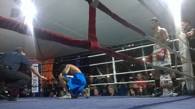 Carlos Henrique Rodrigues da Silva vs. Emerson Santos Carvalho (33).jpg