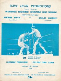 File:Carlos Maria Gimenez vs. Andries Steyn.jpg