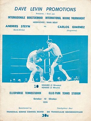 Carlos Maria Gimenez vs. Andries Steyn.jpg