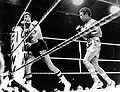 Carlos Monzon vs. Rodrigo Valdez . Fasan.jpg