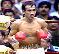 Carloszarate Champ.jpg