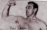 File:CarneraP.jpg