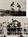 Carp vs Siki.jpg