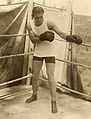 Carpentier23b.jpeg