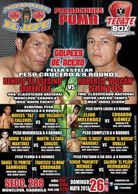File:Cartelera Monclova 26-May-13.jpg