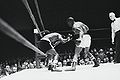 Carter-Griffith U1406651.jpg