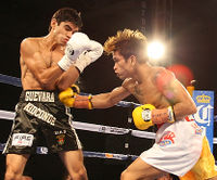 File:Casimero vs. Guevara.jpeg