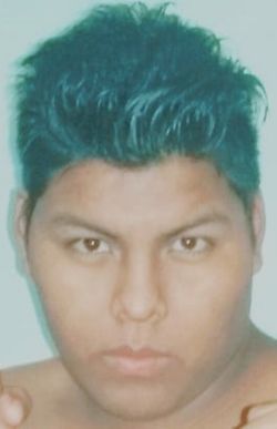Cesar Mamani.jpg