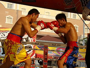 Chaiyong Sithsaithong vs. Kriengkrai Sithsaithong.jpg