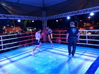 File:Charlesson Wender Rodrigues vs. Andrew David Gomes Ribeiro (14).jpg