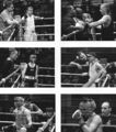 Chicago golden gloves bouts.jpg