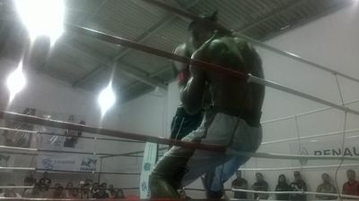 Claudiomar Pedra dos Santos vs. Joao Ricardo Dos Santos (02).jpg
