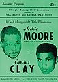 Clay-Moore program.jpeg