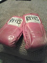 File:Cleto Reyes bag gloves.jpg