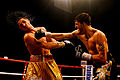 Thumbnail for version as of 07:27, 12 May 2010